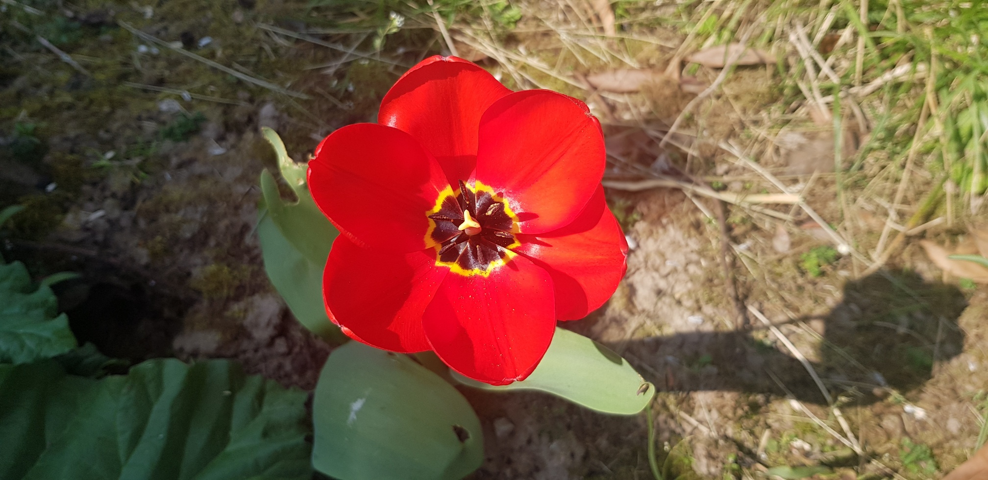 Annexe 20200408_152621_resized.jpg