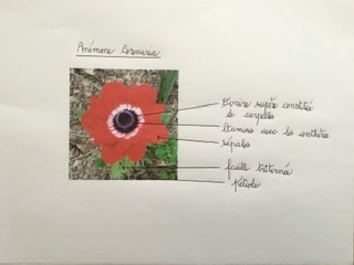 Annexe EFC23363-9779-44CD-9F92-5EEA710C1A39.jpeg