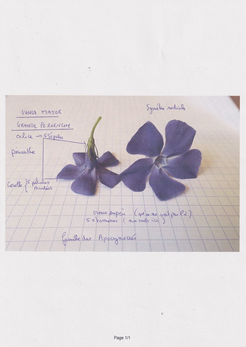 Annexe IMG_20200409_0001 (Copier).jpg