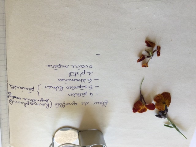 Annexe 99B4D948-5F56-45B3-9256-FCDF4C26F74F.jpeg