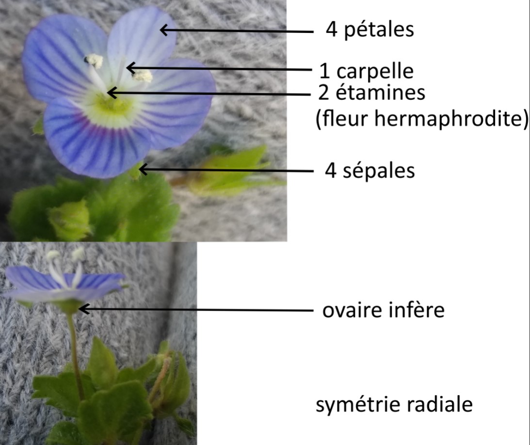 Annexe Annotation 2020-04-10 160833.jpg