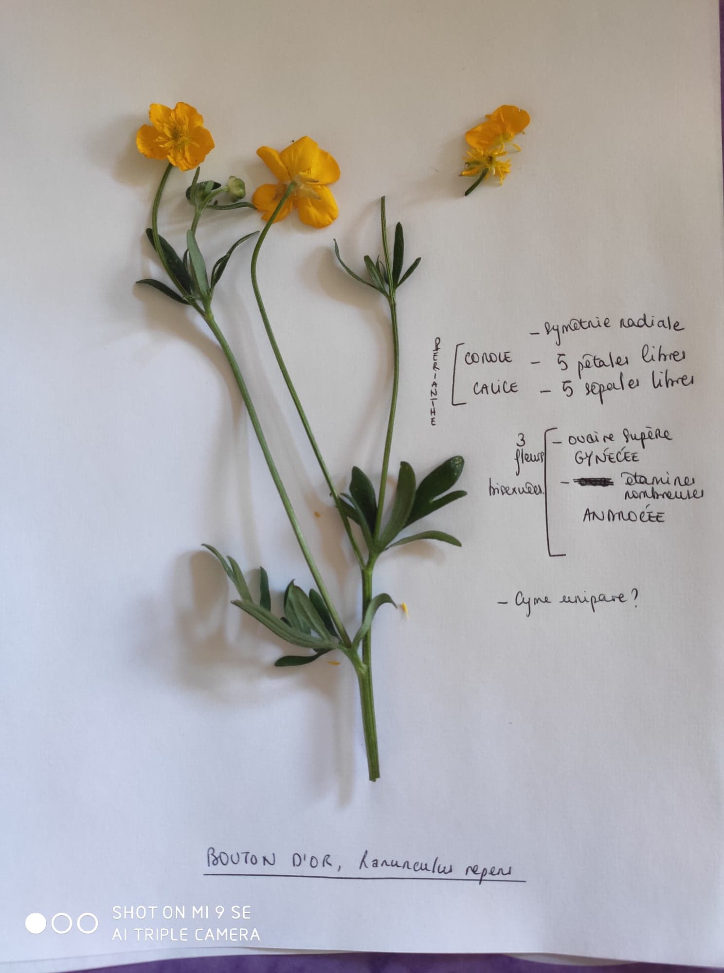 Annexe 92612037_236123387768031_50146650873659392_n.jpg