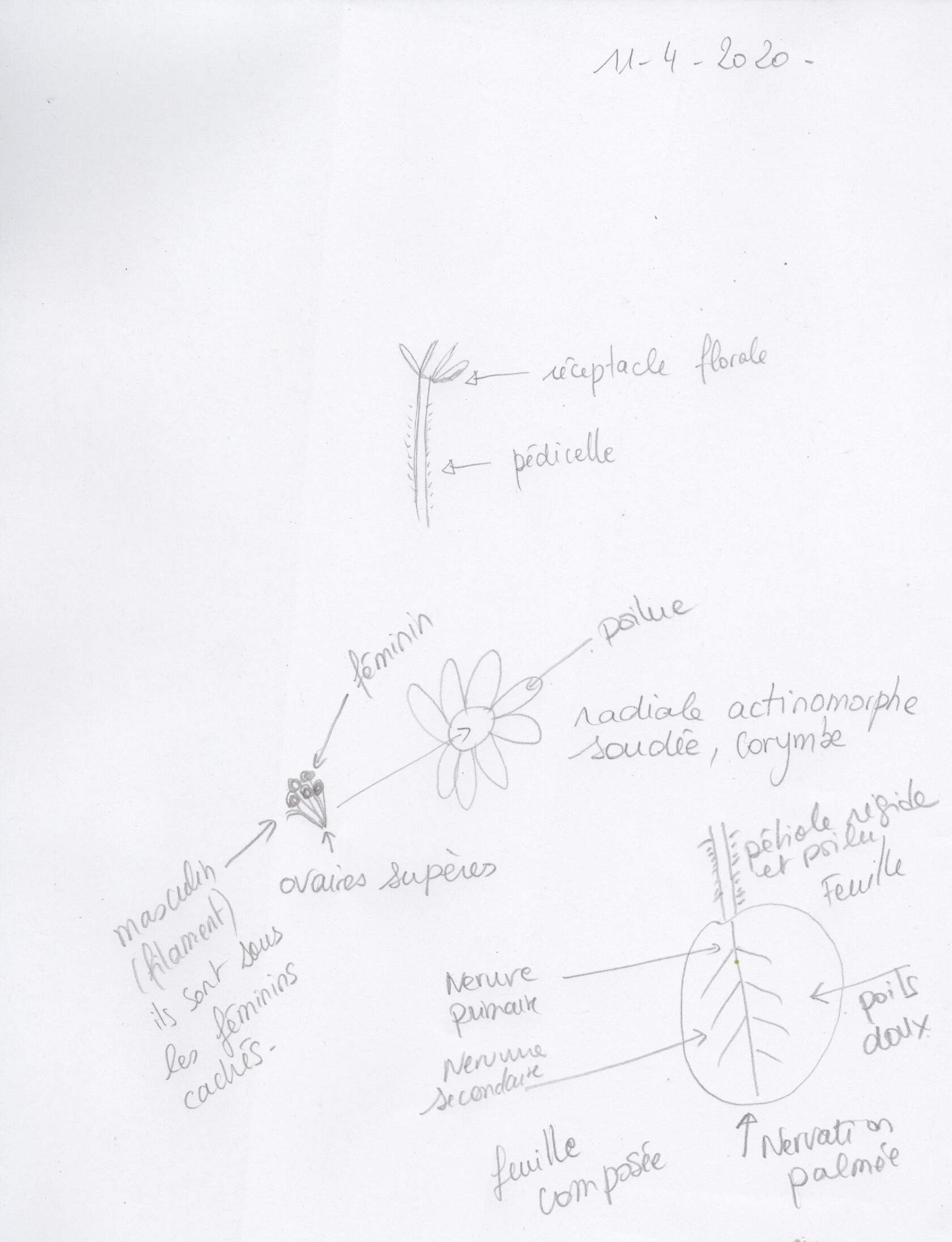 Annexe Scan-200411-0001.JPG