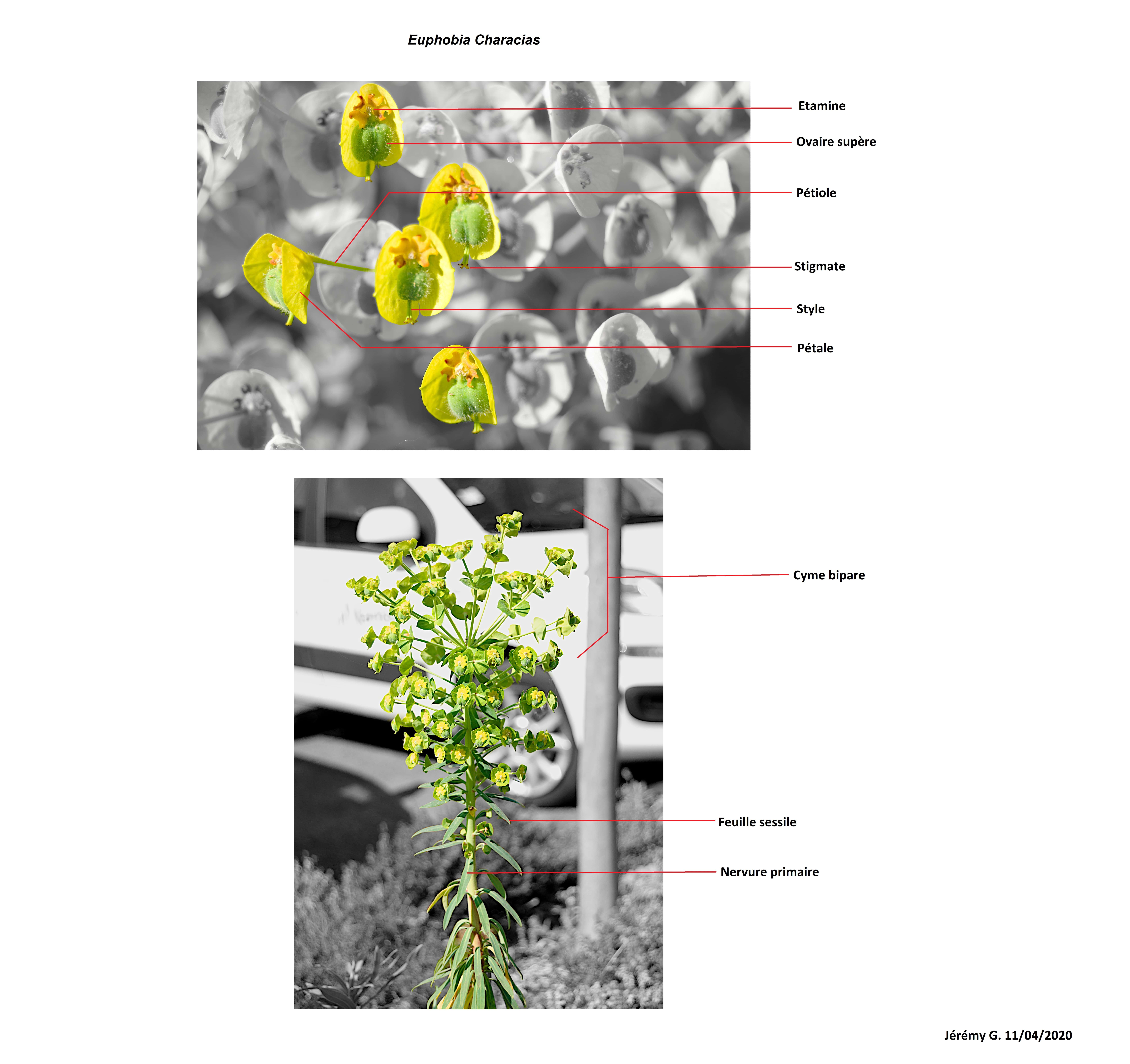 Annexe Legendes-min.jpeg