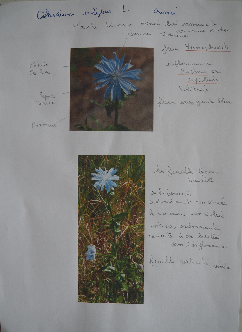 Annexe P1010001-2-ConvertImage.jpg