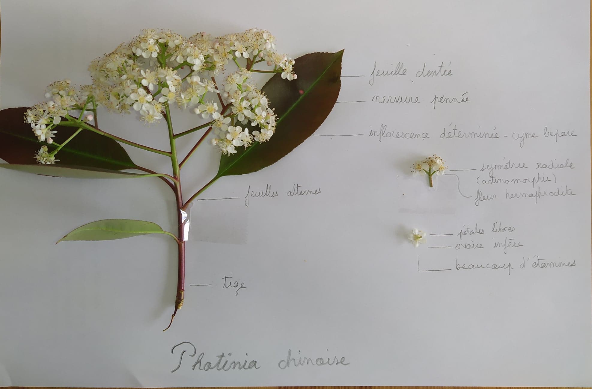 Annexe 93203820_224257585519100_8571712282713653248_n.jpg