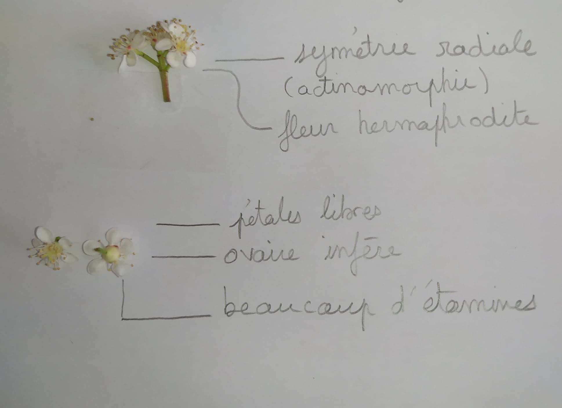 Annexe 93244835_162441151691136_429470491644788736_n.jpg