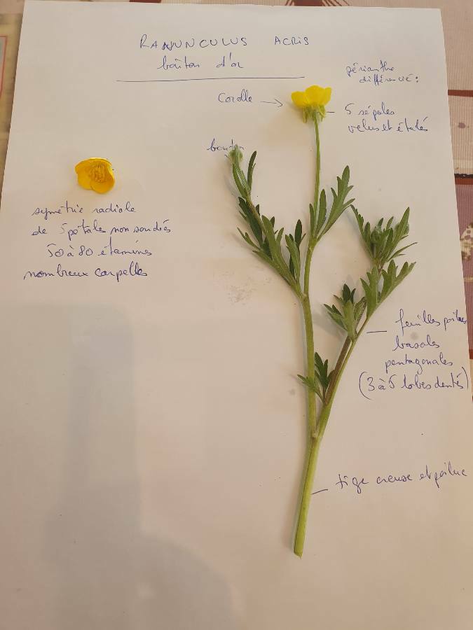 Annexe 1586879610125.JPEG