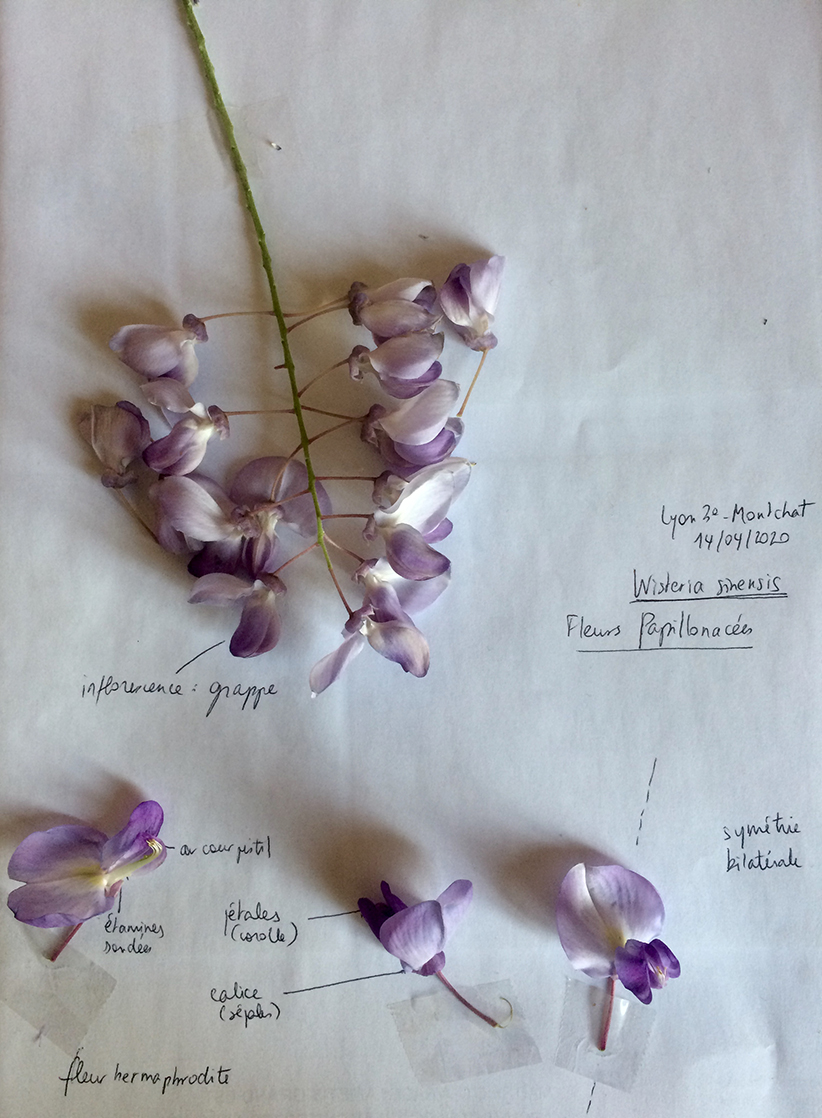 Annexe IMG_7069.jpeg