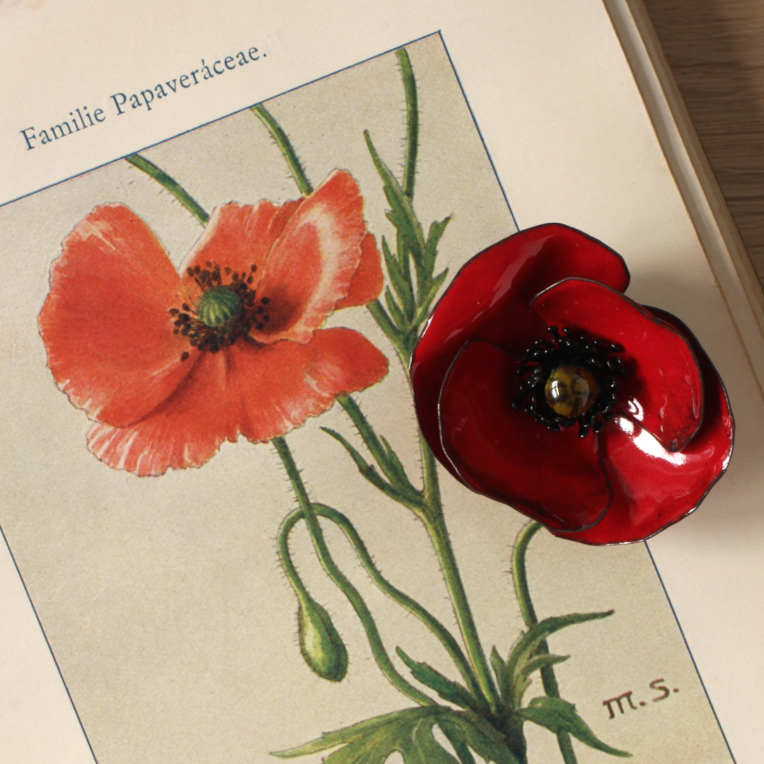 Annexe PoP sur l_Klein_V03-191028 042_1080.jpg