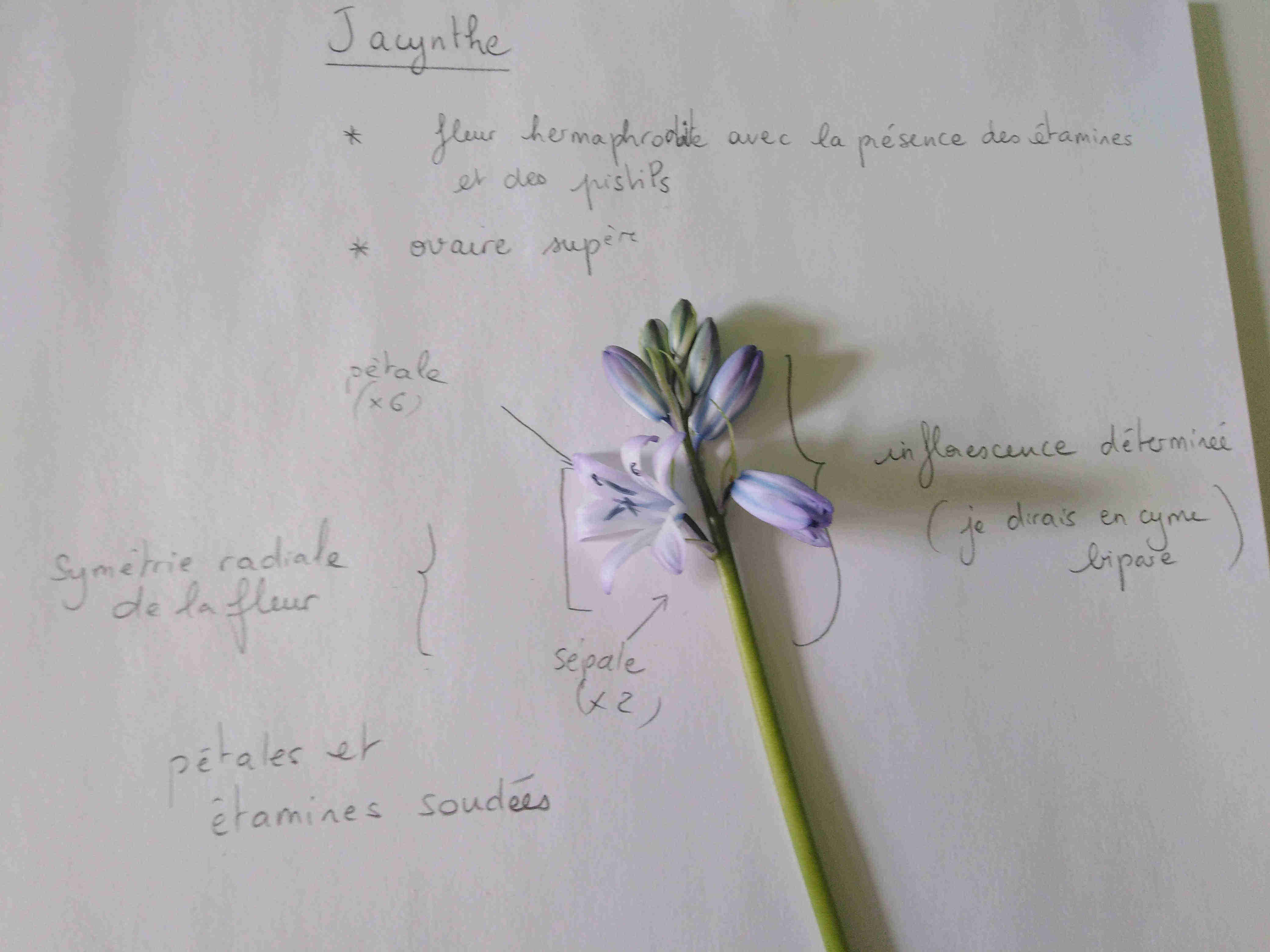 Annexe IMG_20200414_170030.jpg