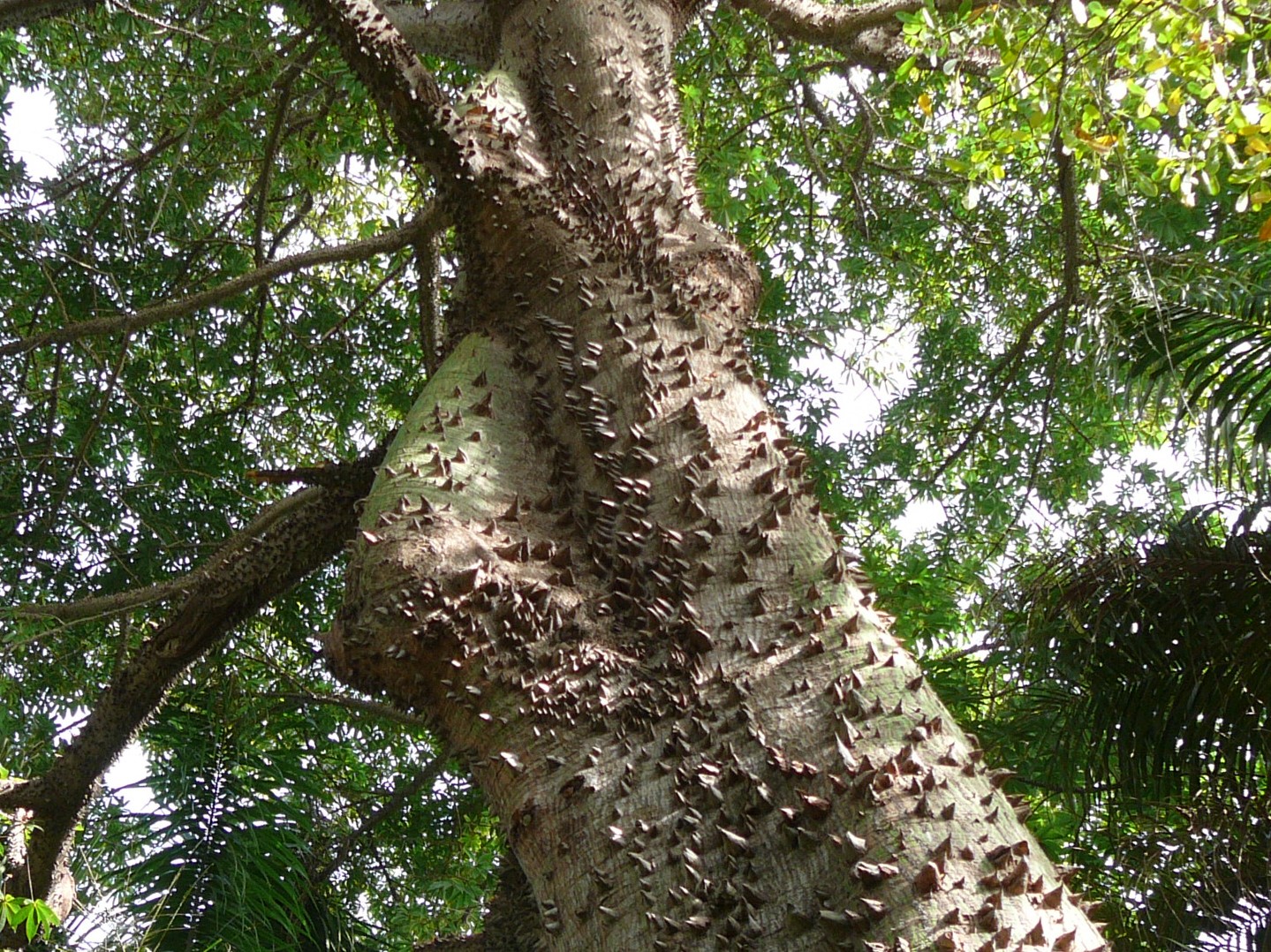 Annexe Fromager 1.jpg