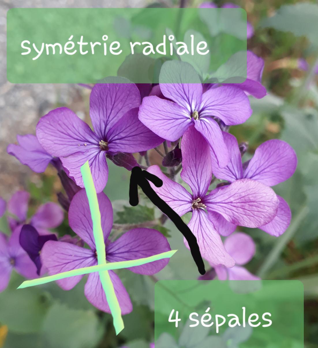 Annexe 20200417_105838-ConvertImage-ConvertImage.jpg