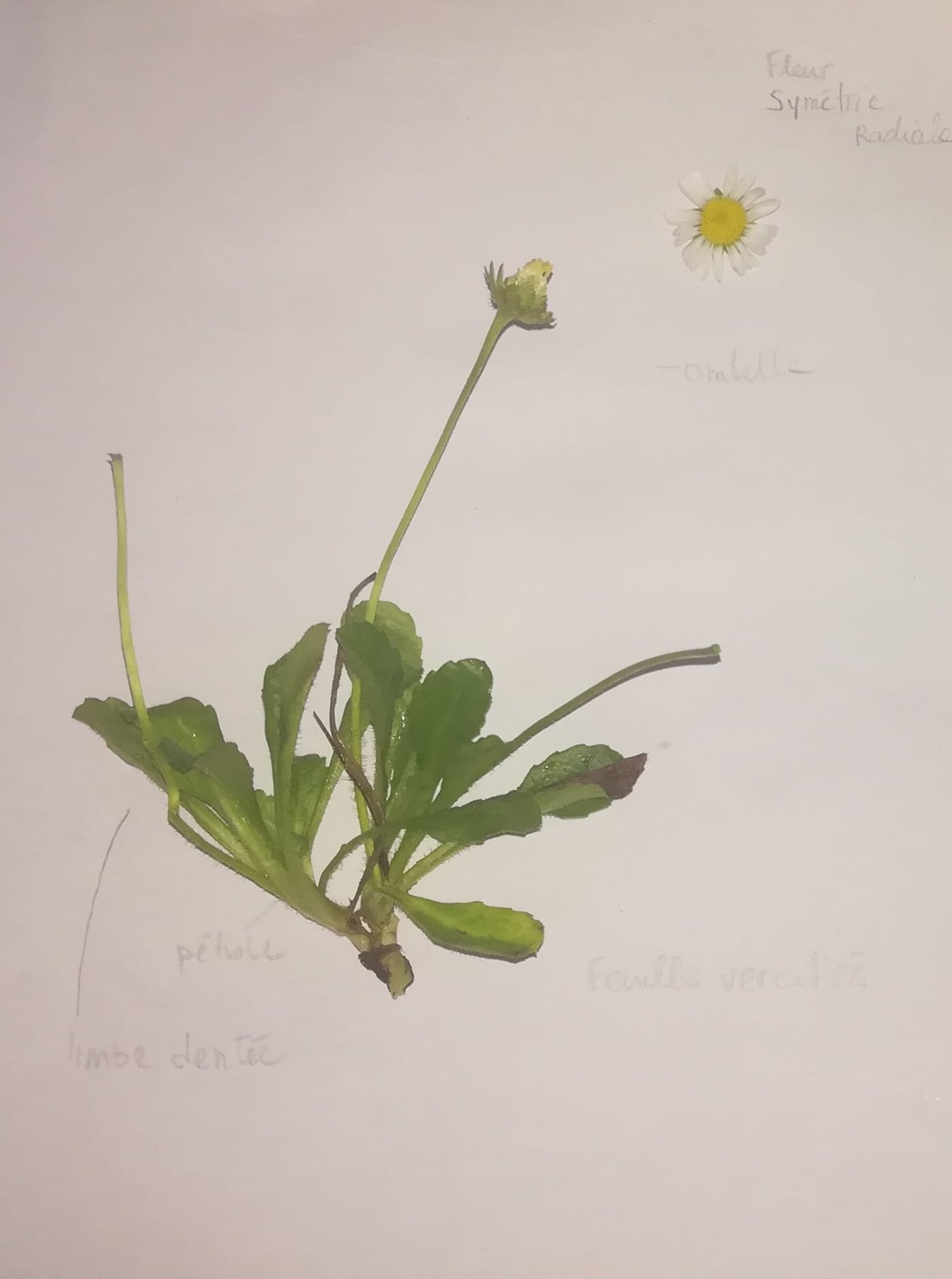 Annexe 94337808_158843842168632_5869833422922317824_n (1).jpg