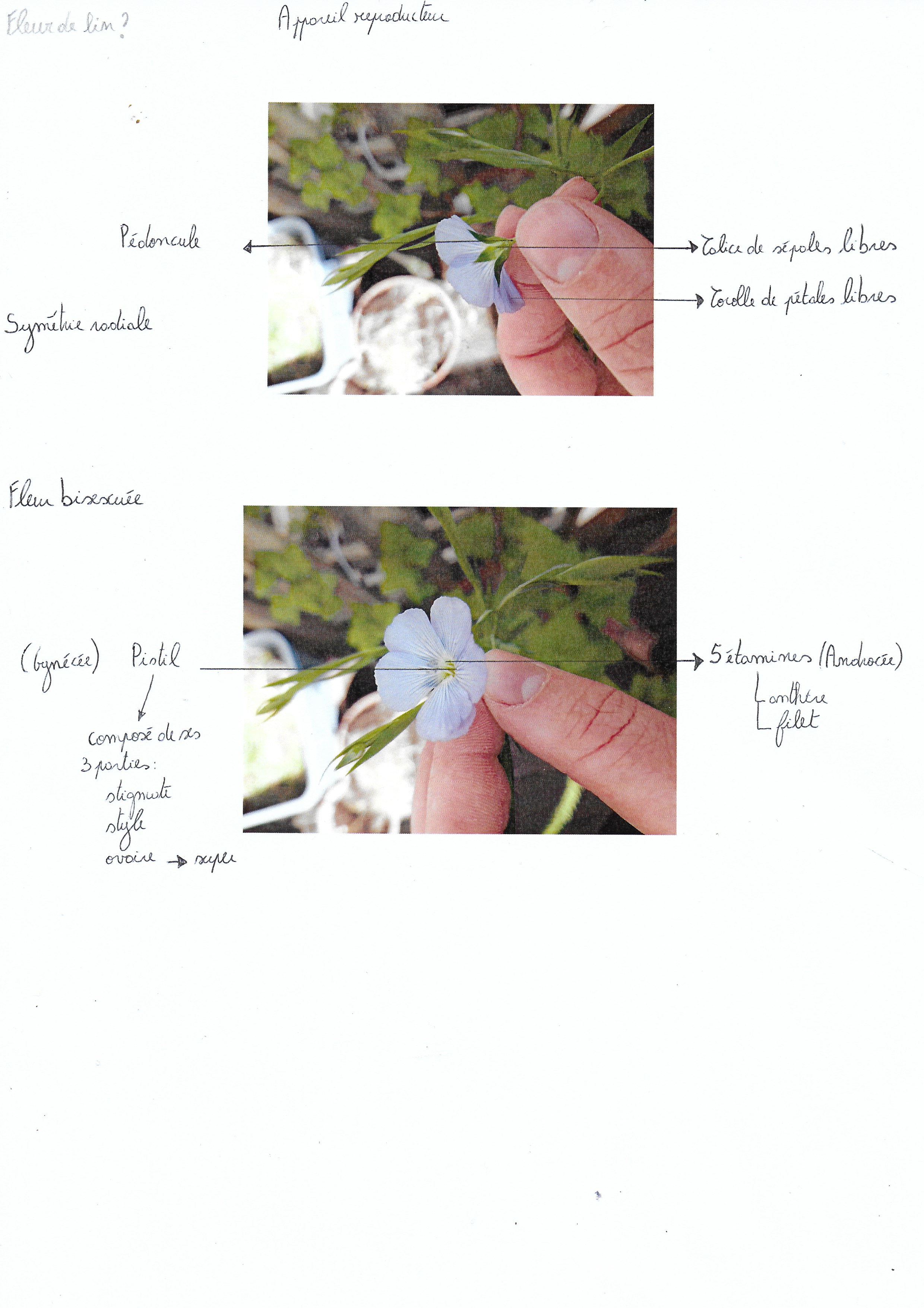 Annexe Numériser.jpeg