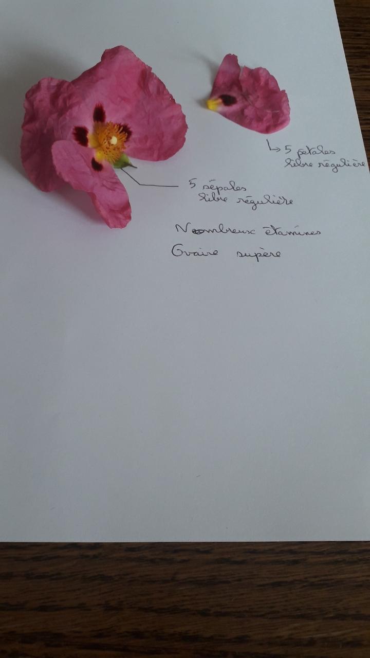 Annexe thumbnail.jpeg