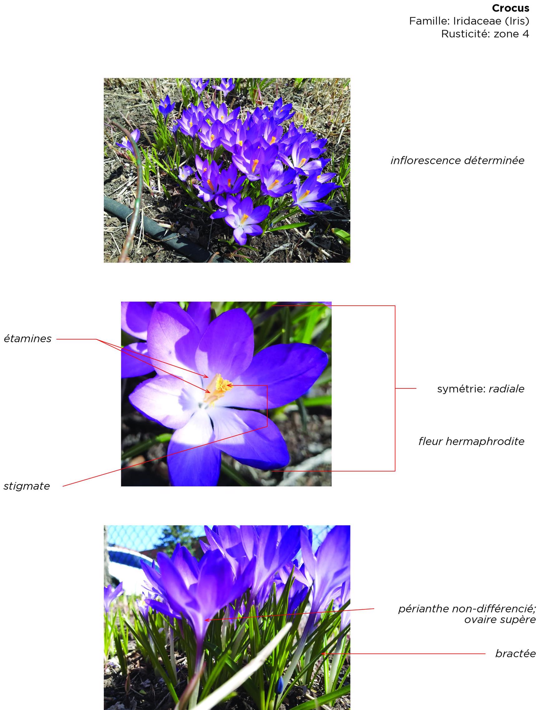 Annexe Sequence 3 - Activité-1757x2278.jpg