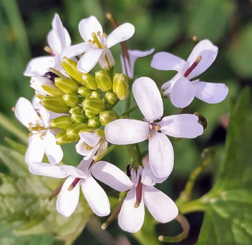 Annexe IMG_20190404_190906.jpg