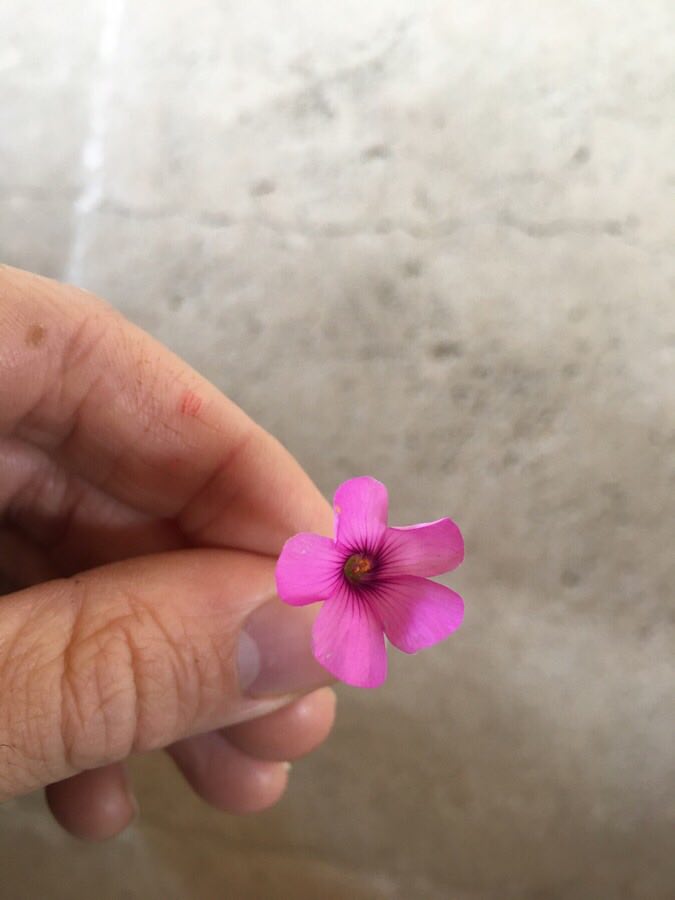 Annexe 94262520_519251355625913_8705708733998563328_n.jpg