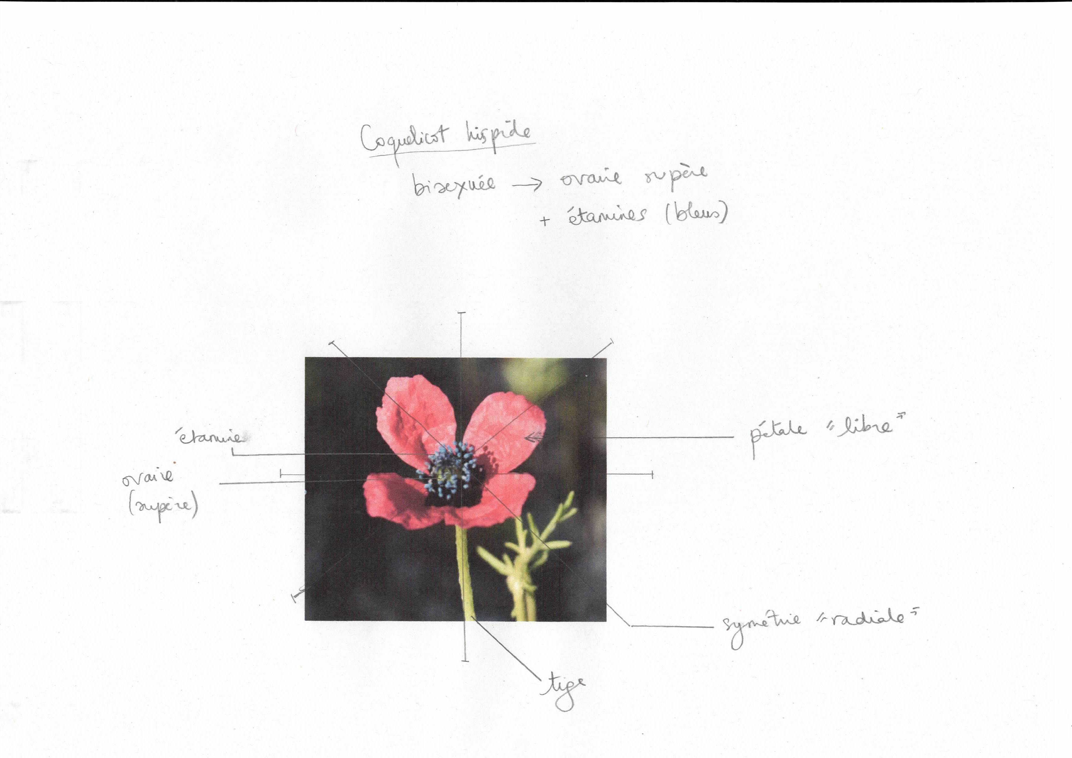 Annexe Numériser.jpeg