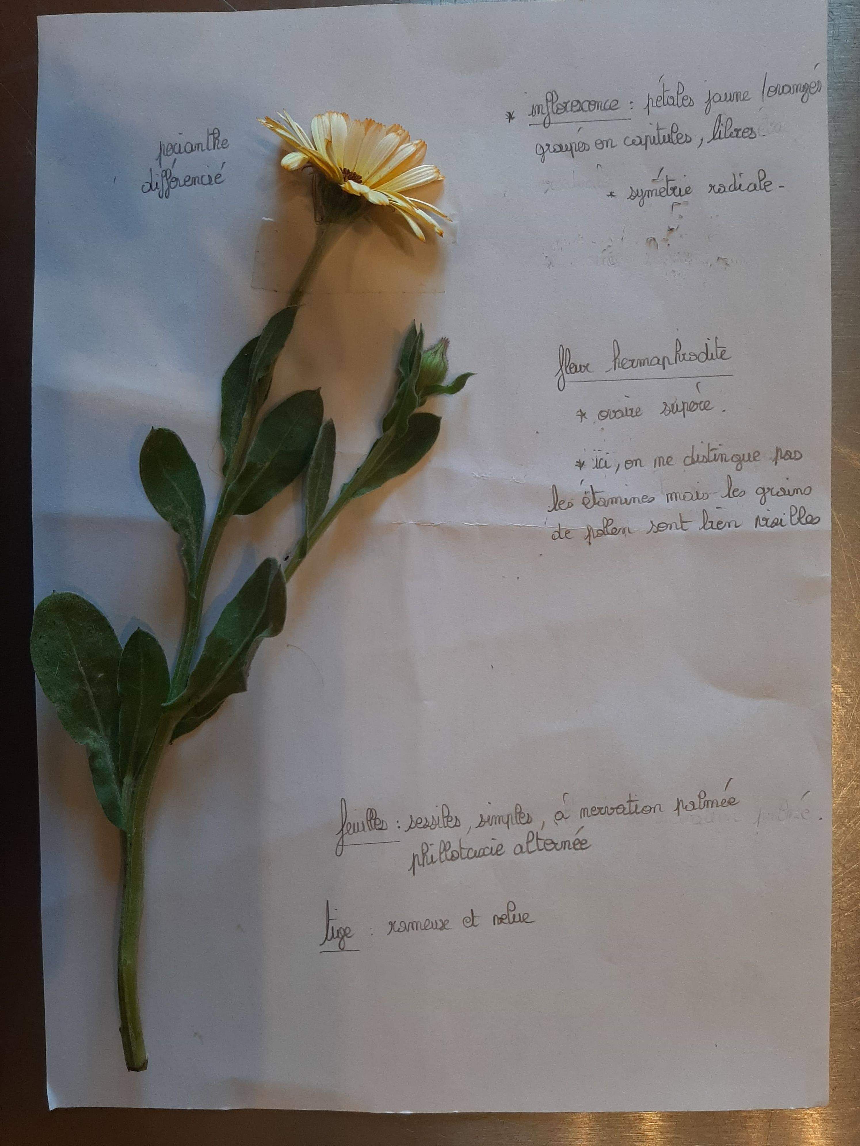 Annexe received_299483597709210.jpeg