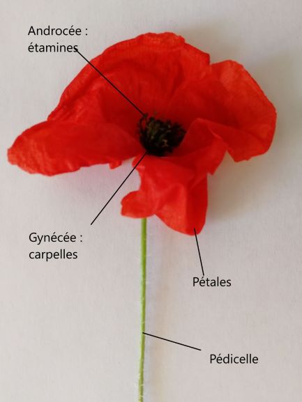 Annexe img 002367364O.jpg