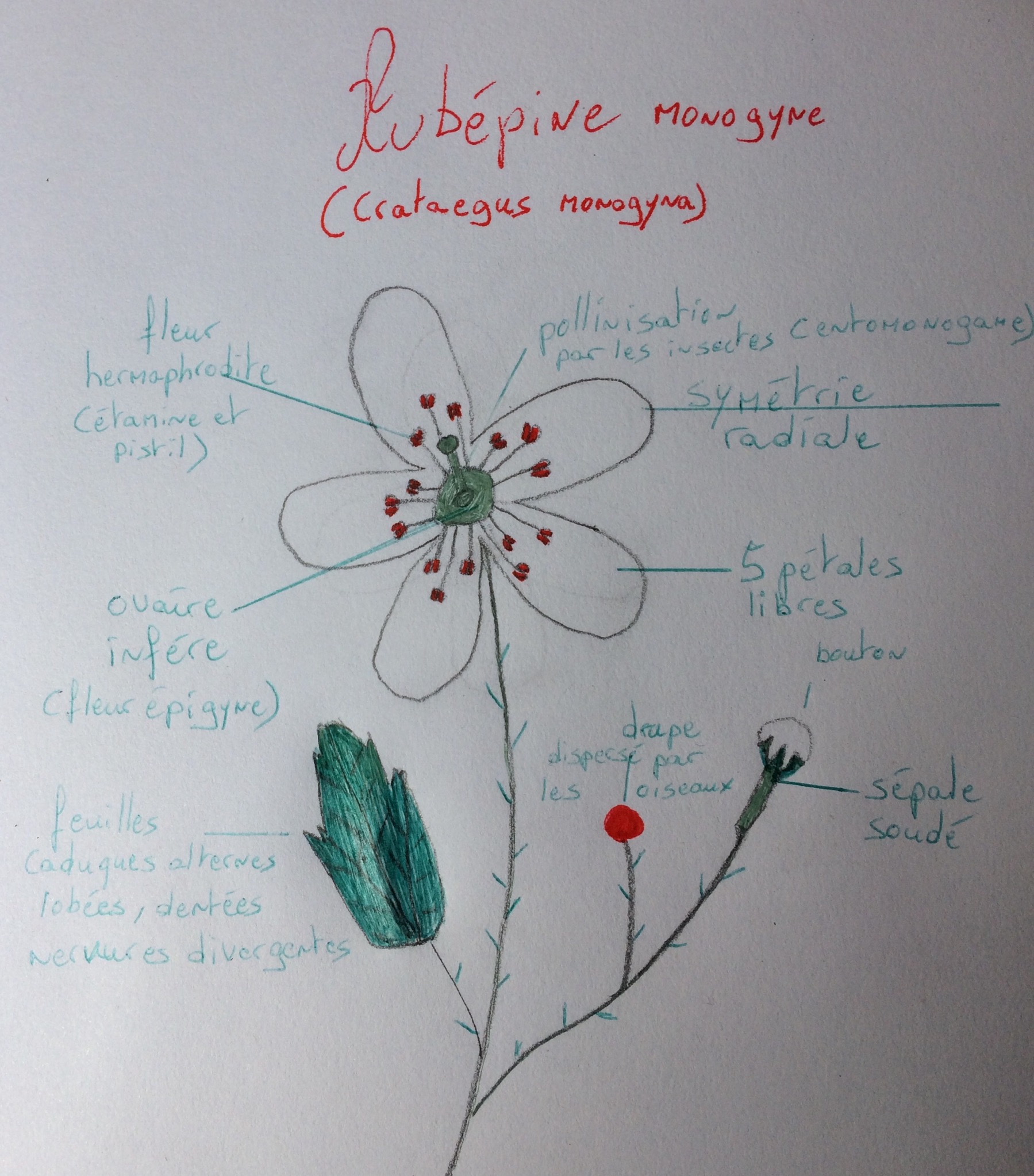 Annexe 532BCC29-6E93-440D-8BFF-290F52267040.jpeg