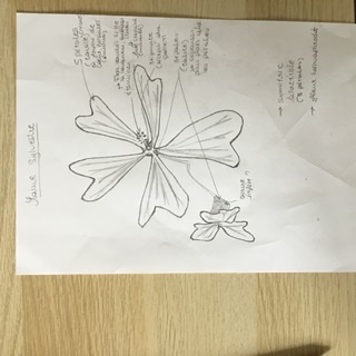 Annexe 9C8AE423-6FB2-4FE6-8F9B-8FF0E39D081C.jpeg