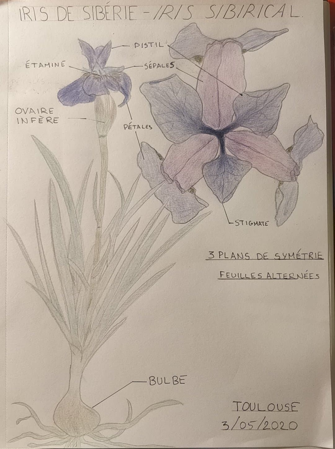 Annexe 95334287_263208974819763_8304506304051806208_n.jpg