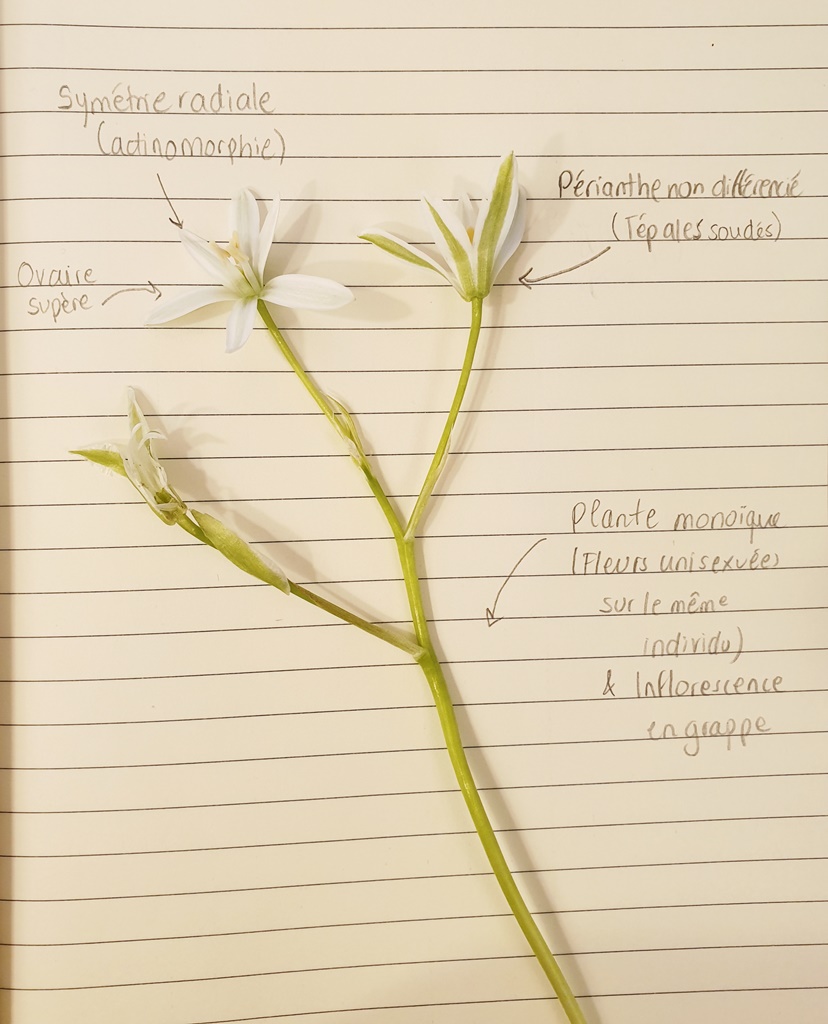 Annexe 20200503_144037.jpg