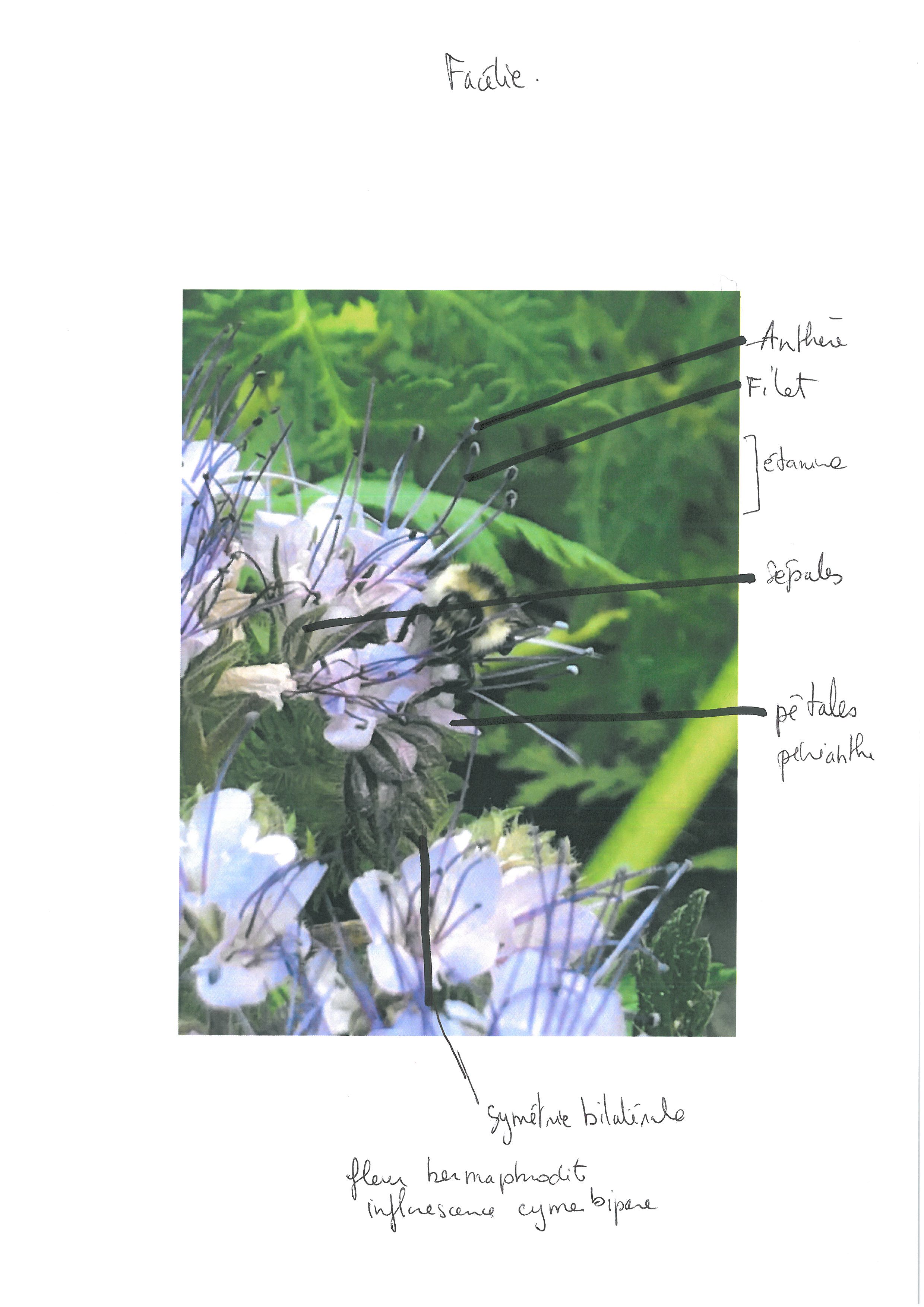 Annexe SKMBT_C22020050620250.jpg