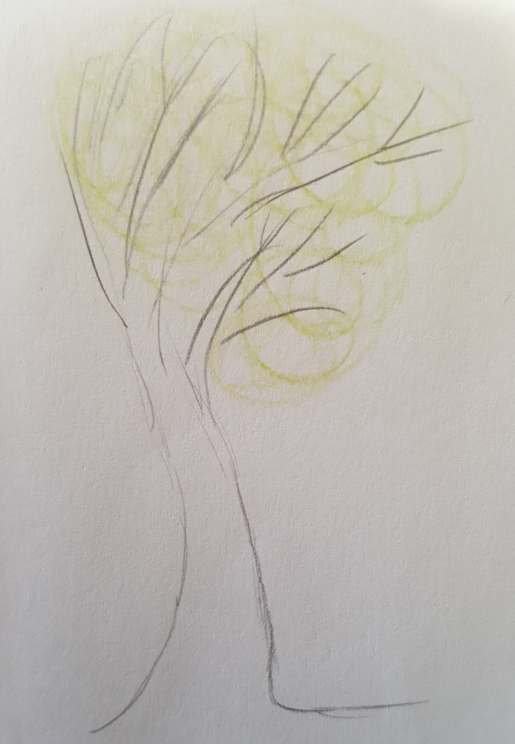 Annexe 20200403_103348.jpg