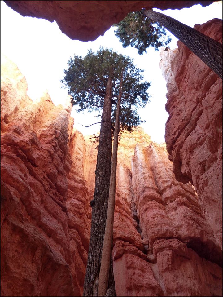 Annexe 43383187_10214838855099679_6895839541580529664_o.jpg