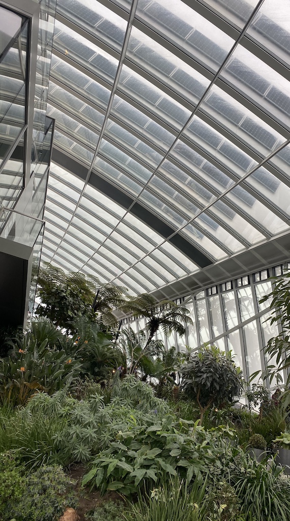 Annexe 8D999522-B667-47D0-B87A-E372C5BA4130_1_201_a - copie.jpg