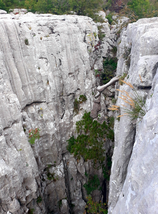 Annexe Capture d’écran 2020-04-05 à 14.55.10.png