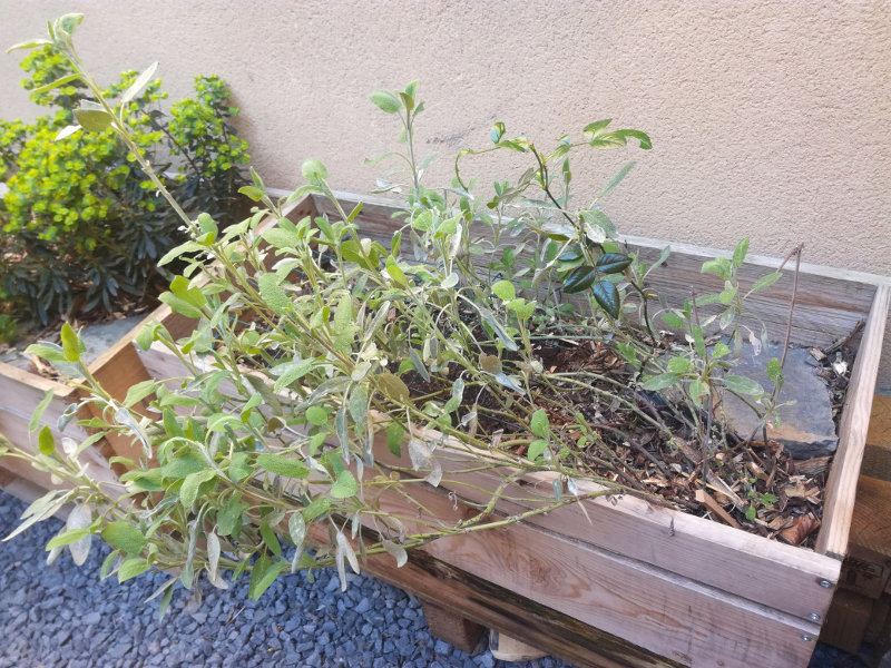 Annexe IMG_20200405_164809.jpg