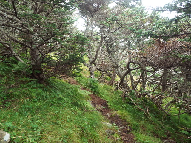 Annexe AF886561-D54F-48B8-9307-2F50A062B26E.jpeg