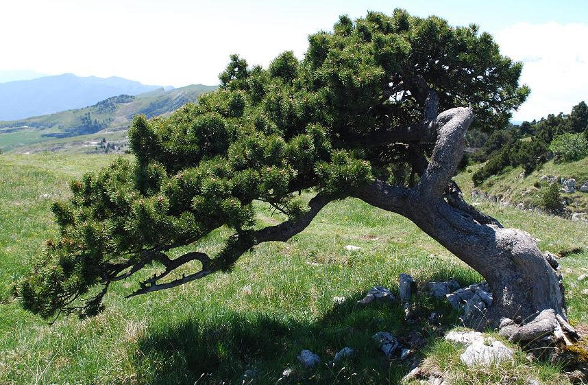 Annexe La vrine 069 (3).jpg