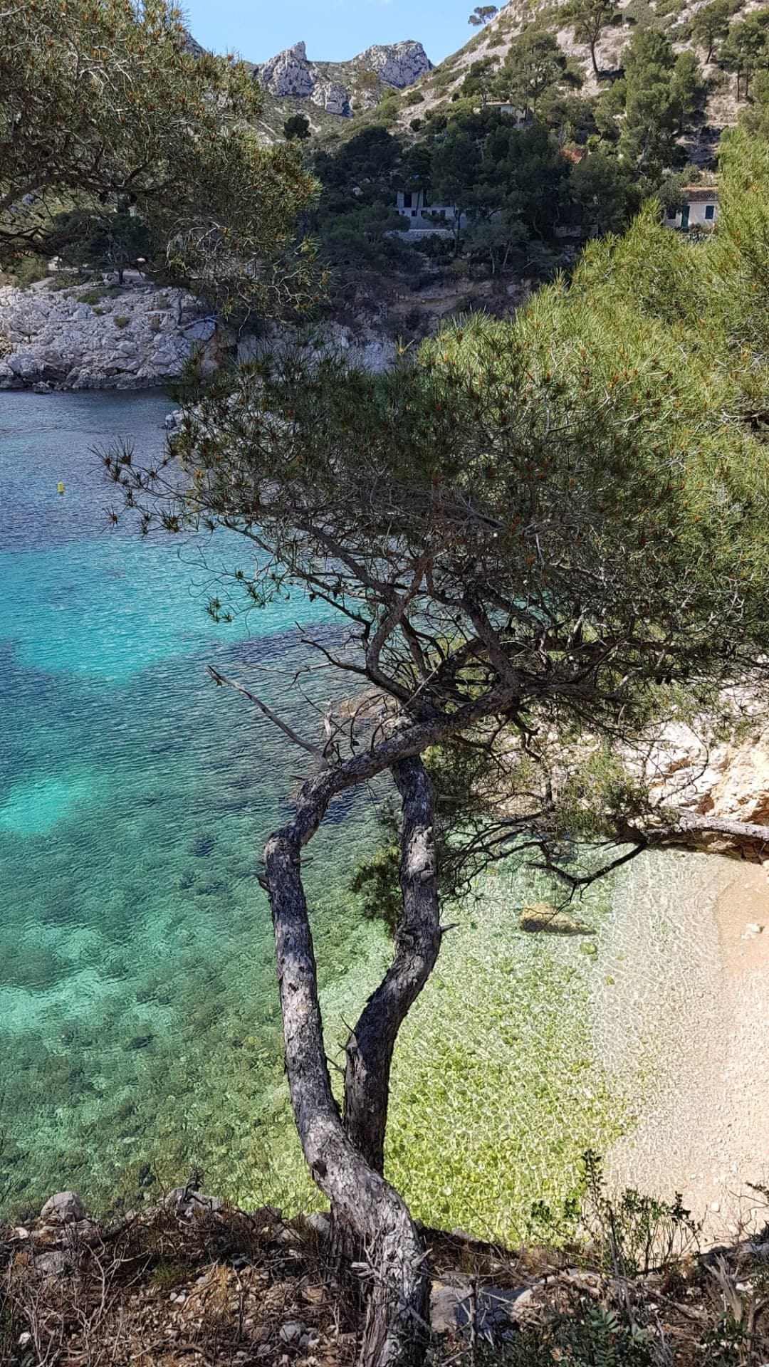 Annexe 92134398_1085838505123910_7099424749507313664_n.jpg