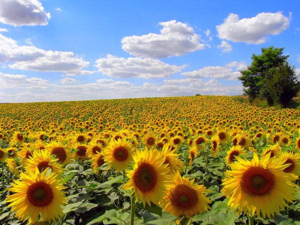 Annexe 1167692_web.jpg