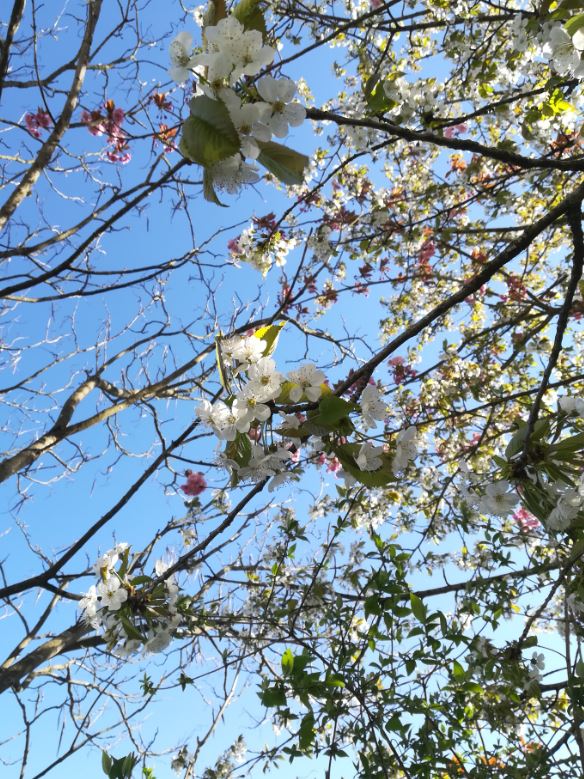 Annexe Capture 45.JPG