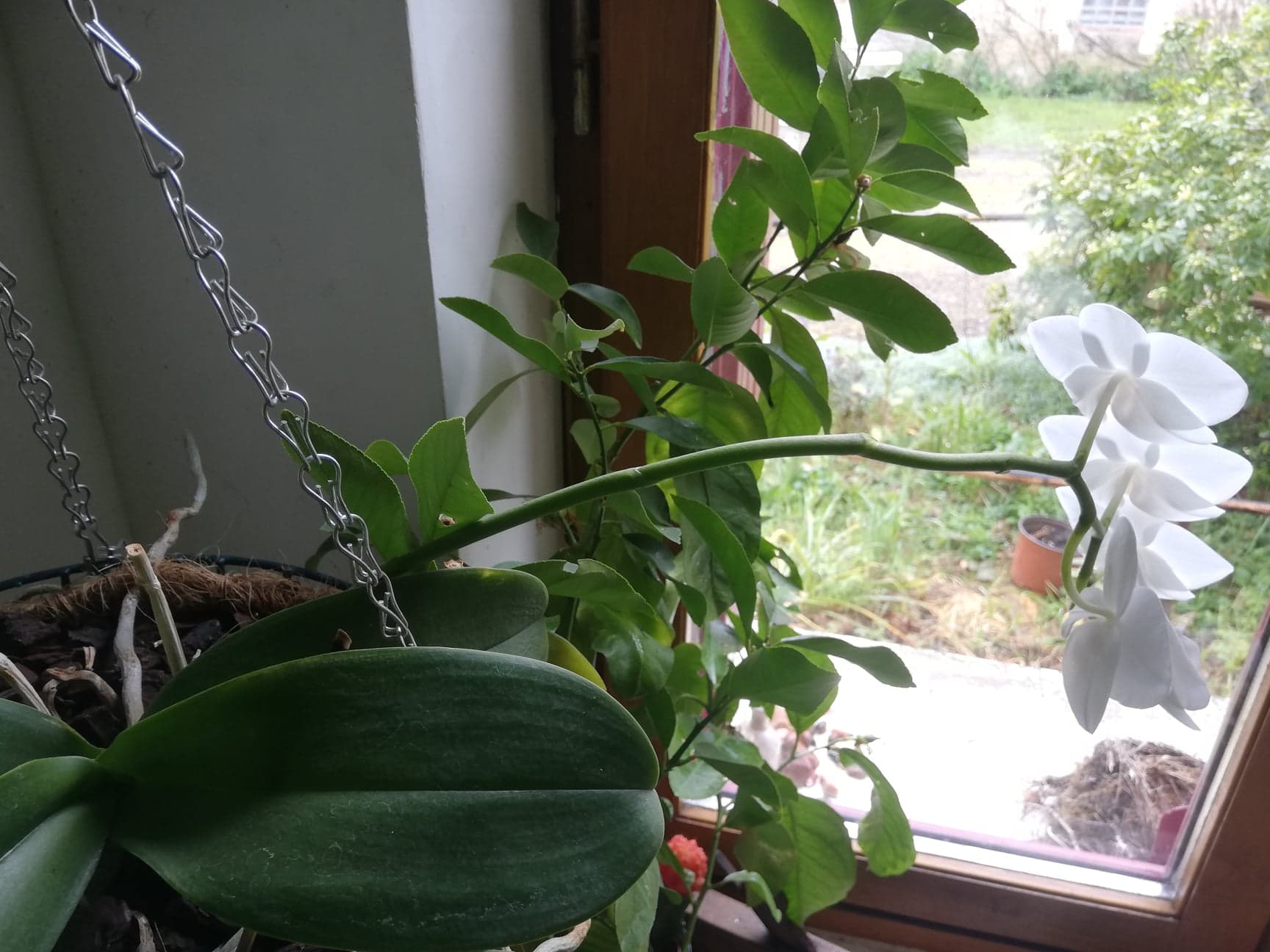 Annexe 91942195_649811605592036_2686613394970116096_n.jpg