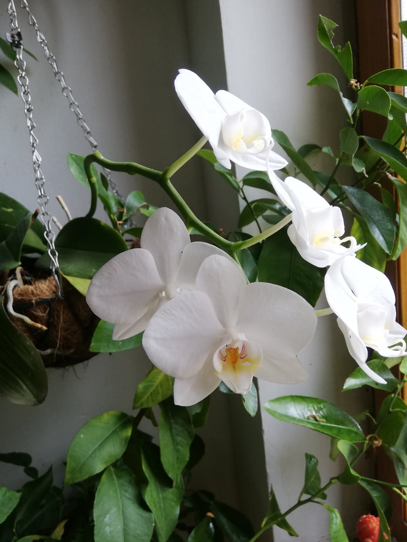 Annexe 91990827_1269624820035227_9012375394707308544_n.jpg