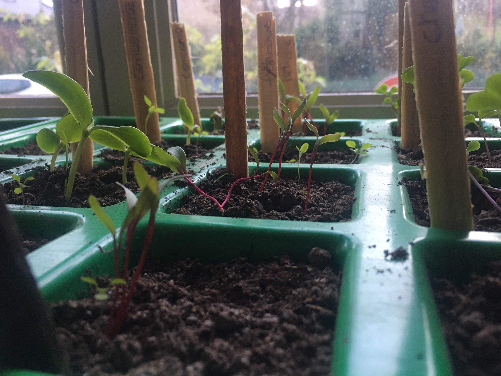 Annexe E3613E97-DEA5-4347-B8A2-33A87B74E1EF.jpeg