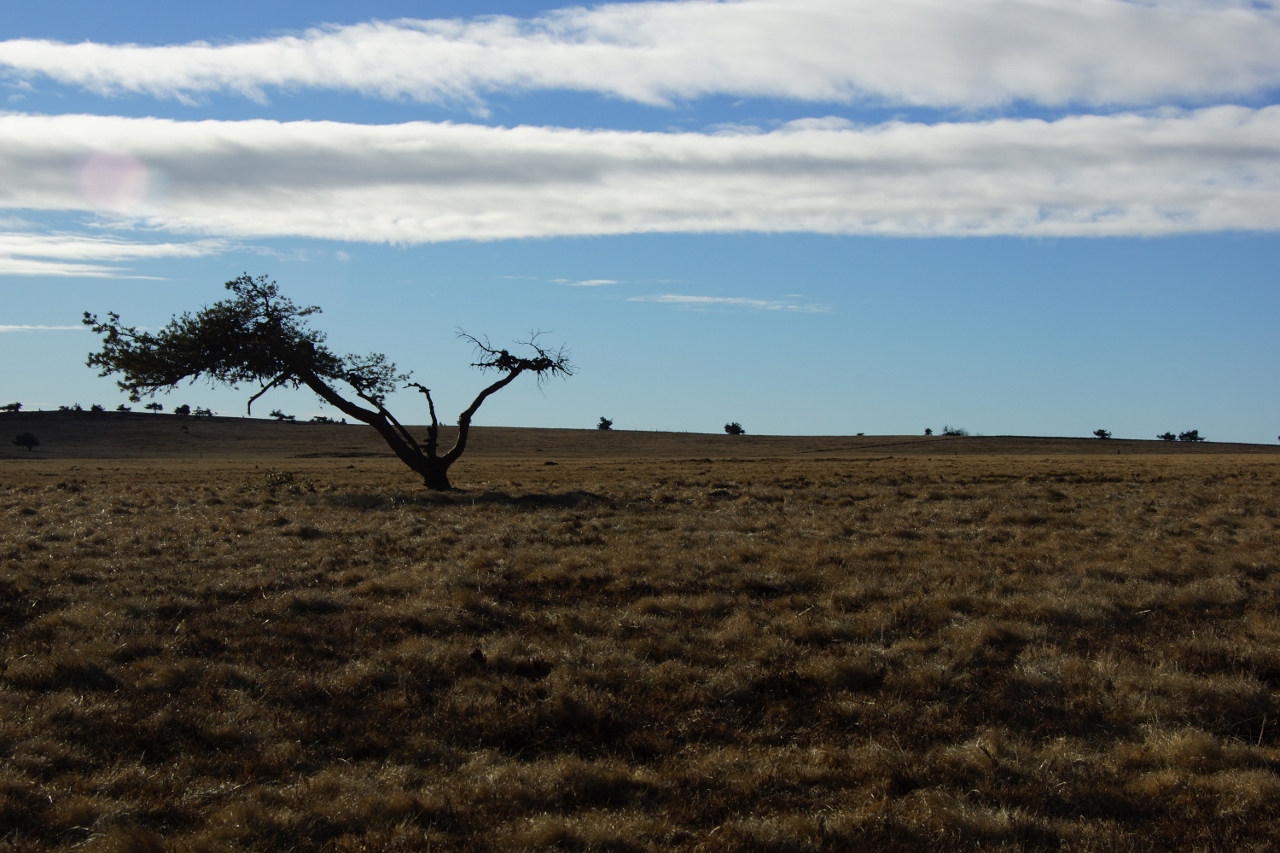 Annexe DSC01555 (1280x853).jpg