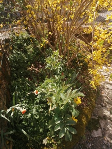 Annexe 92933038_2700574523504532_3489342735347875840_n.jpg