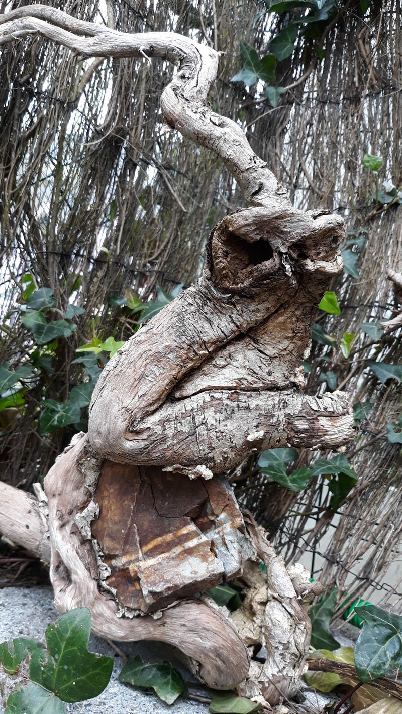 Annexe 20200407_122942.jpg