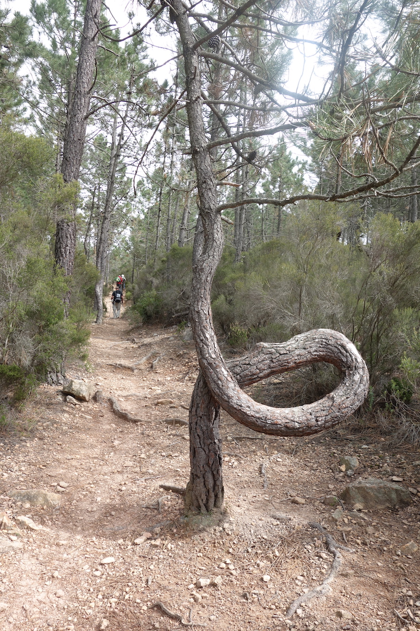 Annexe DSC08009m.JPG