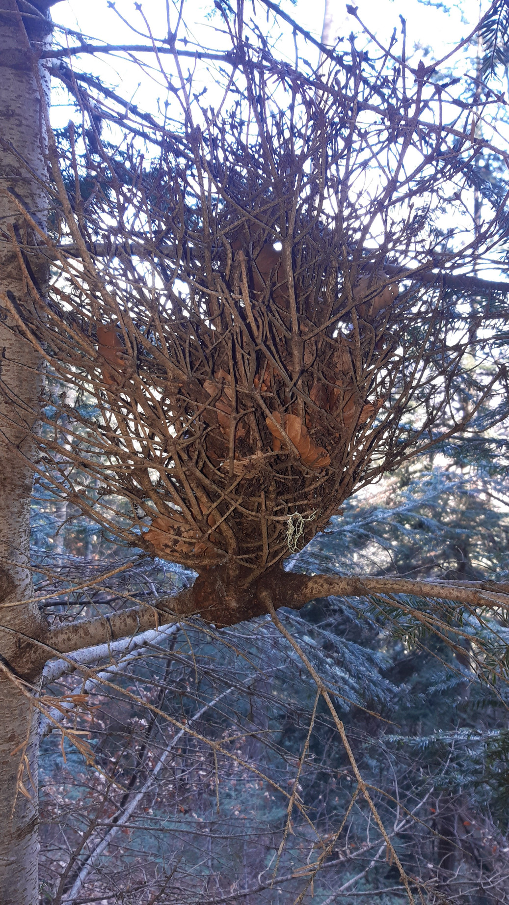 Annexe 20200214_104724.jpg