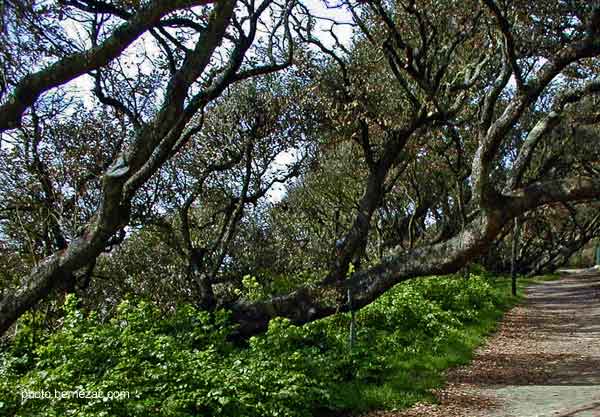 Annexe pierrieres_chenes_031_02 (1).jpg